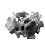 Biomateriale