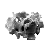 Biomateriale
