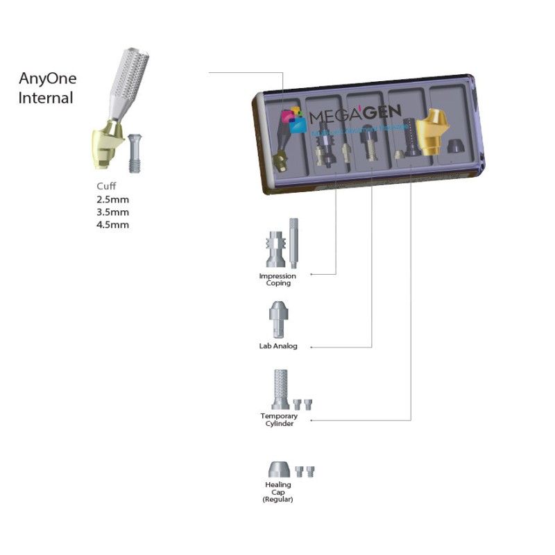 Pachet Multi Unit AnyOne, angulat 17° (cu capa de vindecare)