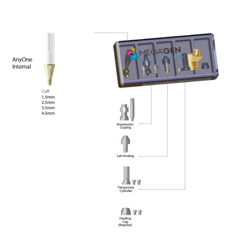 Pachet Multi Unit AnyOne, drept (cu capa de vindecare)